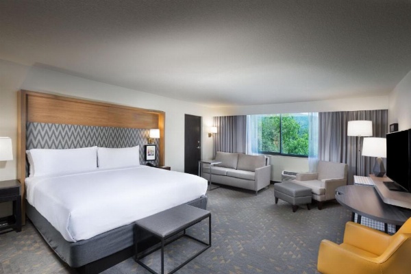 Holiday Inn Asheville East-Blue Ridge Pkwy, an IHG Hotel image 24