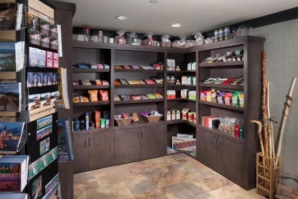 Holiday Inn Asheville East-Blue Ridge Pkwy, an IHG Hotel image 29